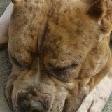 Entry image for Mabel