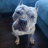 Entry image for Stormy