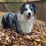 Entry image for Benny 