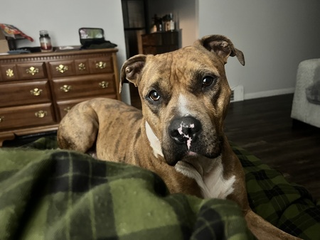 Entry image for Luke. Clicking this image will show a larger photo