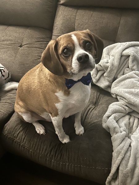 Entry image for Max. Clicking this image will show a larger photo