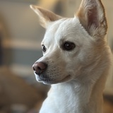 Entry image for Yumi