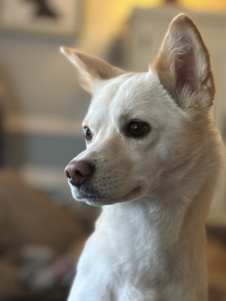 Entry image for Yumi. Clicking this image will show a larger photo