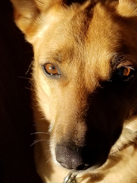Entry image for Charlie. Clicking this image will show a larger photo