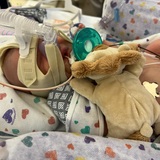 Entry image for Aiden 