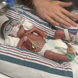Entry image for Waylon 