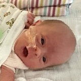 Entry image for Amelia 