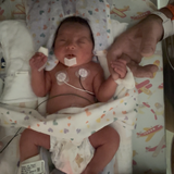 Entry image for Lyla Faye