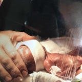 Entry image for Isabella