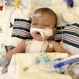 Entry image for Anna Blanche