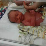 Entry image for Jeremiah 