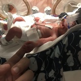 Entry image for Jackson 