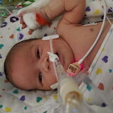 Entry image for Keira