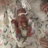 Entry image for Eli
