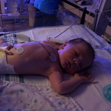 Entry image for Evan