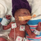 Entry image for Olivia