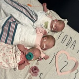 Entry image for Victoria, Elizabeth & Lily 