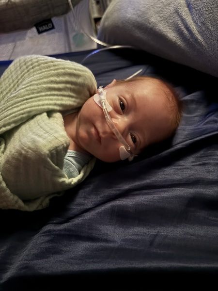 Entry image for Waylon . Clicking this image will show a larger photo
