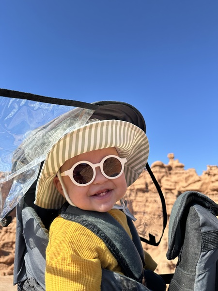 Entry image for Maxwell . Clicking this image will show a larger photo
