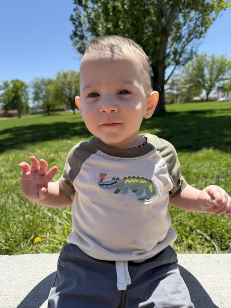 Entry image for Jasper. Clicking this image will show a larger photo