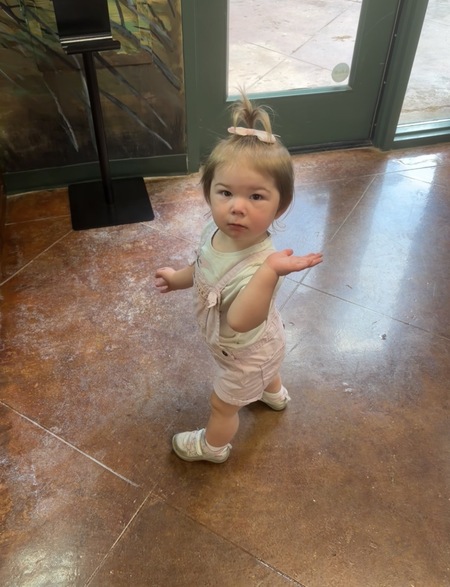 Entry image for Tinleigh. Clicking this image will show a larger photo
