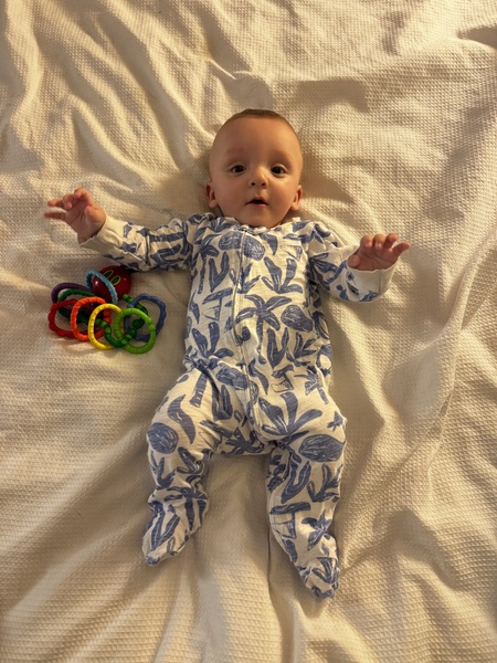 Entry image for Elijah . Clicking this image will show a larger photo