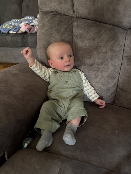 Entry image for Rowan. Clicking this image will show a larger photo