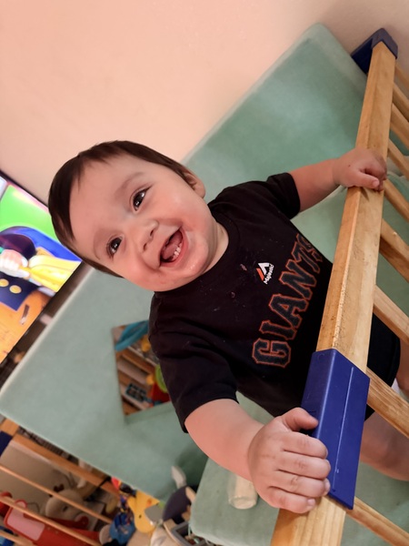 Entry image for Atticus . Clicking this image will show a larger photo