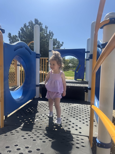 Entry image for Violet . Clicking this image will show a larger photo