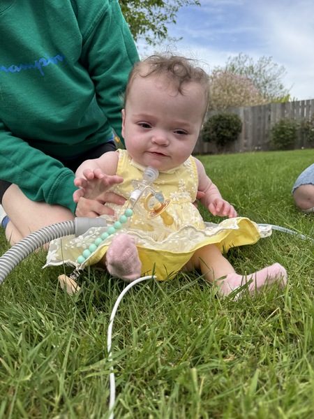 Entry image for Phoebe. Clicking this image will show a larger photo
