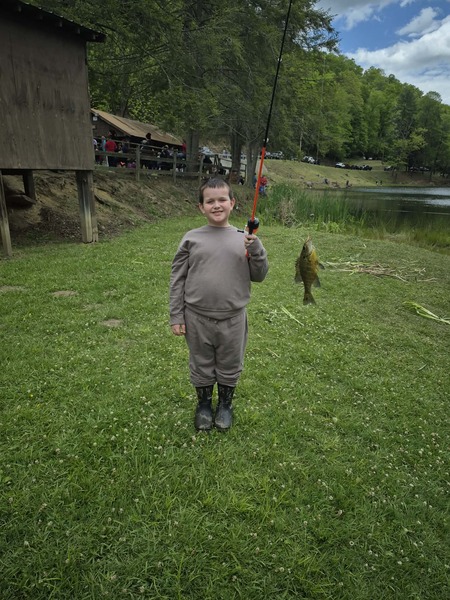 Entry image for Tanner. Clicking this image will show a larger photo
