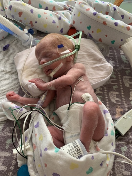 Entry image for Asher. Clicking this image will show a larger photo