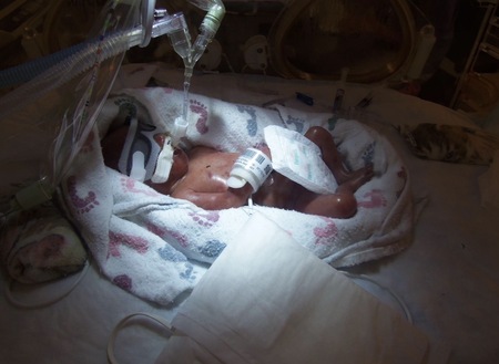 Entry image for Carter. Clicking this image will show a larger photo