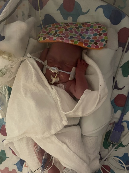 Entry image for Blakely . Clicking this image will show a larger photo