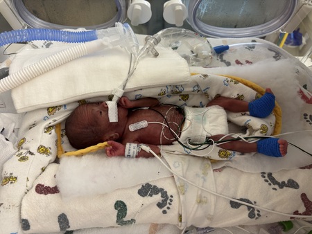 Entry image for Aasiah. Clicking this image will show a larger photo