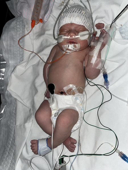 Entry image for Taytum. Clicking this image will show a larger photo