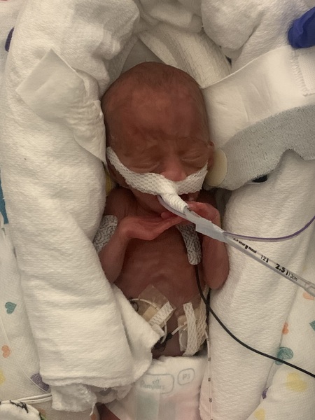 Entry image for Riley. Clicking this image will show a larger photo