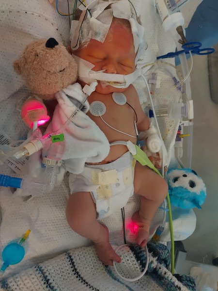 Entry image for Riley. Clicking this image will show a larger photo