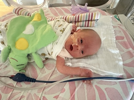 Entry image for Amelia . Clicking this image will show a larger photo