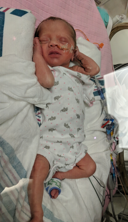 Entry image for Adley. Clicking this image will show a larger photo