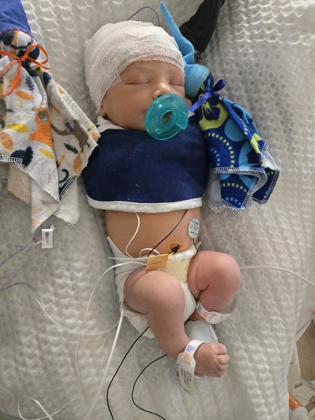 Entry image for Hudson. Clicking this image will show a larger photo