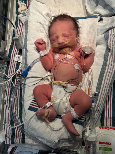 Entry image for Ayden. Clicking this image will show a larger photo