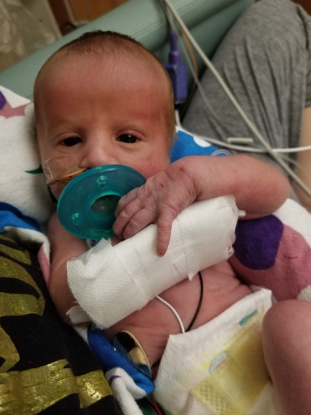 Entry image for Ryker. Clicking this image will show a larger photo