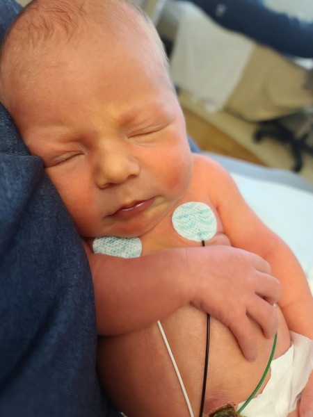 Entry image for Jaxson. Clicking this image will show a larger photo