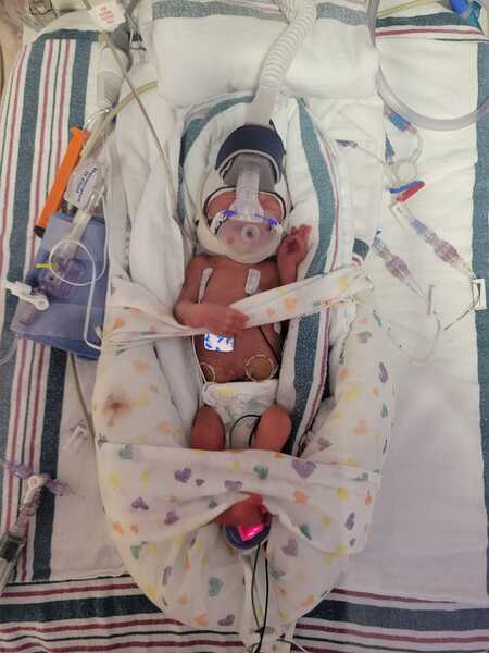 Entry image for Kaden. Clicking this image will show a larger photo