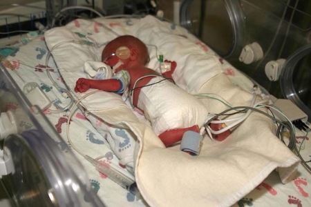 Entry image for Peyton. Clicking this image will show a larger photo