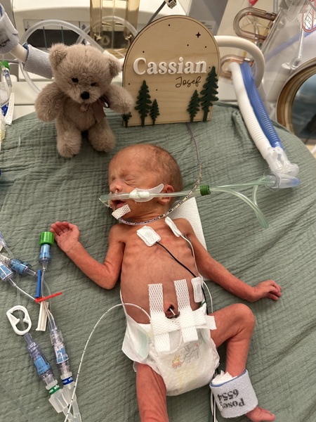 Entry image for Cassian. Clicking this image will show a larger photo
