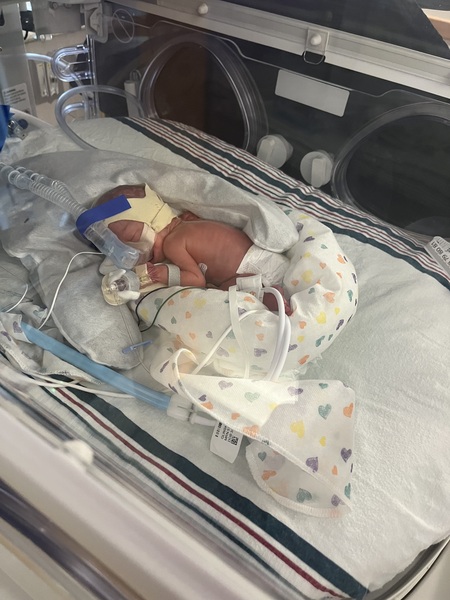 Entry image for Brielle. Clicking this image will show a larger photo