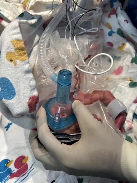 Entry image for Zaylen. Clicking this image will show a larger photo