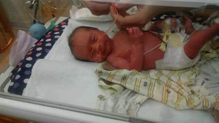 Entry image for Jeremiah . Clicking this image will show a larger photo